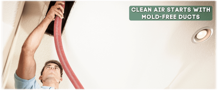 Air Duct Mold Removal in Edison NJ