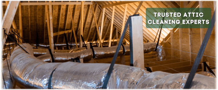Attic Cleaning Edison NJ