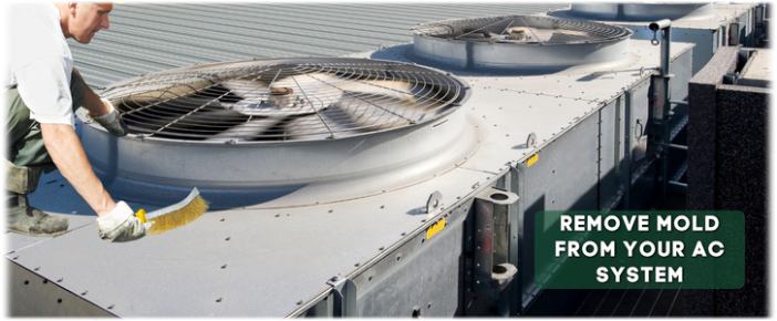 HVAC Mold Removal Edison NJ